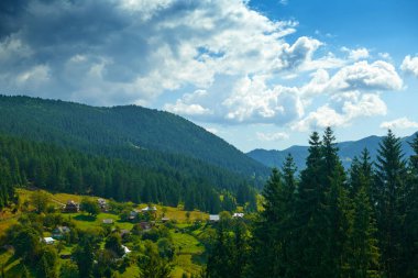Güzel yaz manzarası, tepelerde süslenmeler, bulutlu gökyüzü ve kır çiçekleri - seyahat yeri manzarası, Karpatya dağları