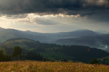 Karpat dağlarında gün batımı - güzel yaz manzarası, tepelerde yaylalar, karanlık bulutlu gökyüzü ve parlak güneş ışığı, çayır ve kır çiçekleri