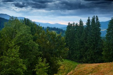 Karpat dağlarında gün batımı - güzel yaz manzarası, tepelerde ışıltılar, bulutlu gökyüzü ve kır çiçekleri.