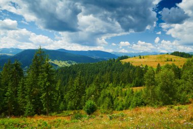 Güzel yaz manzarası, tepelerde süslenmeler, bulutlu gökyüzü ve kır çiçekleri - seyahat yeri manzarası, Karpatya dağları