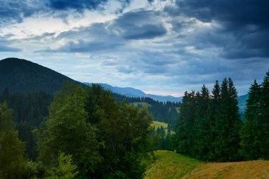 Karpat dağlarında gün batımı - güzel yaz manzarası, tepelerde ışıltılar, bulutlu gökyüzü ve kır çiçekleri.