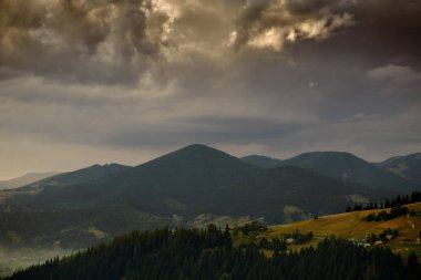 Karpatya dağlarında altın gün batımı - güzel yaz manzarası, tepelerde yaylalar, karanlık bulutlu gökyüzü ve parlak güneş ışığı, çayır ve kır çiçekleri