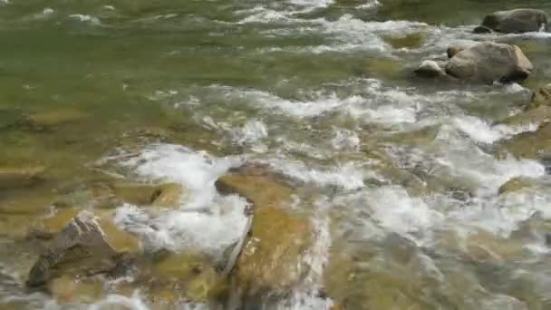 Närbild Utsikt Över Vackra Bergsfloden Sommardagen Black Cheremosh Ukraina Snabbflytande — Stockvideo