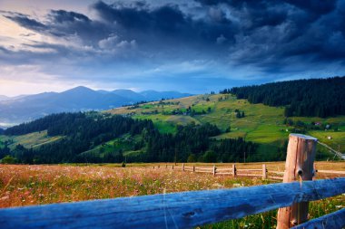 Yaban çiçekleri, çayırlar ve Karpatlar 'da güzel günbatımı - yaz manzarası, tepelerde ışıltılar, karanlık bulutlu gökyüzü ve parlak güneş ışığı
