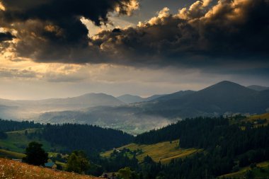 Karpat dağlarında altın gün batımı - güzel yaz manzarası, tepelerde, köyde, evlerde, karanlık bulutlu gökyüzünde ve parlak güneş ışığı, çayır ve kır çiçekleri