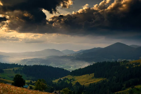 Zlatý západ slunce v karpatských horách - krásná letní krajina, smrky na kopcích, vesnice, domy, tmavá oblačná obloha a jasné sluneční světlo, louka a divoké květiny — Stock fotografie