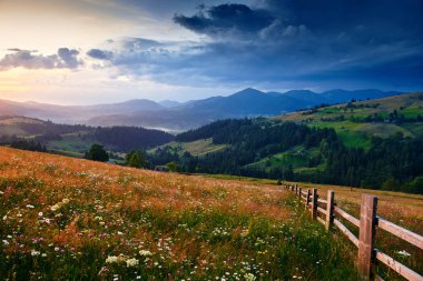Yaban çiçekleri, çayırlar ve Karpatlar 'da güzel günbatımı - yaz manzarası, tepelerde ışıltılar, karanlık bulutlu gökyüzü ve parlak güneş ışığı