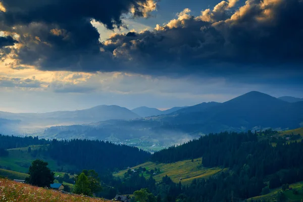 Sonnenuntergang in den Karpaten - schöne Sommerlandschaft, Fichten auf Hügeln, Dorf, Häuser, dunkler bewölkter Himmel und helles Sonnenlicht, Wiese und Wildblumen — Stockfoto