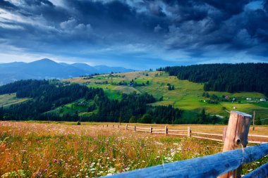 Yaban çiçekleri, çayırlar ve Karpatlar 'da güzel günbatımı - yaz manzarası, tepelerde ışıltılar, karanlık bulutlu gökyüzü ve parlak güneş ışığı