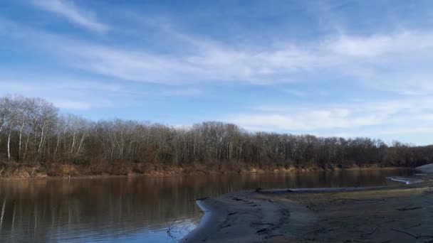 Timelapse Van Helder Prachtig Lentelandschap Bos Rivier Blauwe Lucht Met — Stockvideo