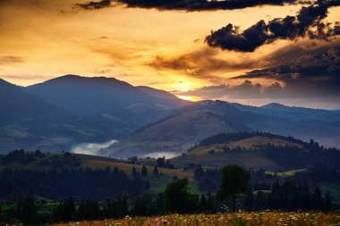 Karpatlar 'da kır çiçekleri, çayırlar ve altın gün batımı - güzel yaz manzarası, tepelerde ışıltılar, karanlık bulutlu gökyüzü ve parlak güneş ışığı