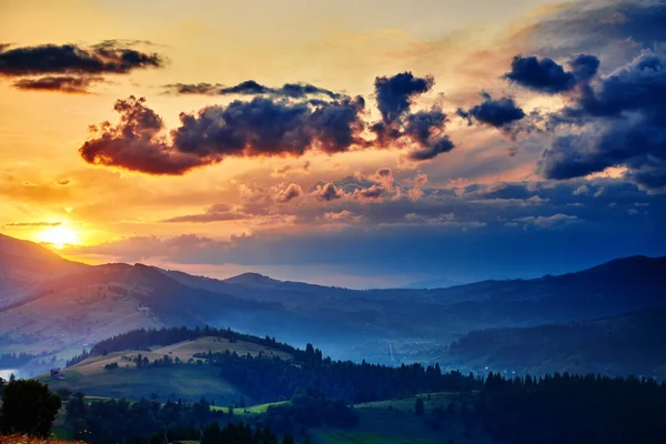 Wildblumen Wiese Und Schöner Sonnenuntergang Den Karpaten Sommerlandschaft Fichten Auf — Stockfoto