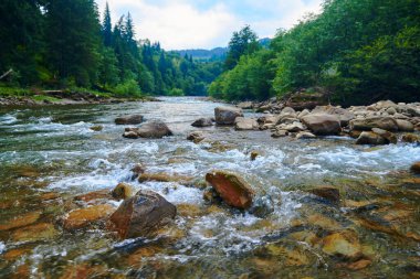 Manzara, yaz günündeki dağ nehri manzarası, hızlı akan su ve kayalar, vahşi doğa.