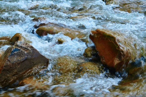 Krajina Krásný Výhled Horskou Řeku Letním Dni Rychle Tekoucí Voda — Stock fotografie