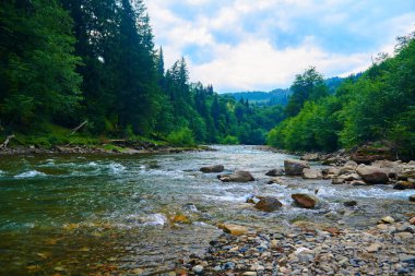 Manzara, yaz günündeki dağ nehri manzarası, hızlı akan su ve kayalar, vahşi doğa.