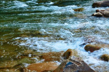 Manzara, yaz günündeki dağ nehri manzarası, hızlı akan su ve kayalar, vahşi doğa.