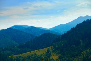 Vahşi doğa, Karpatlar 'daki yaz manzarası, kır çiçekleri ve çayırlar, tepelerdeki yaylalar, güzel bulutlu gökyüzü