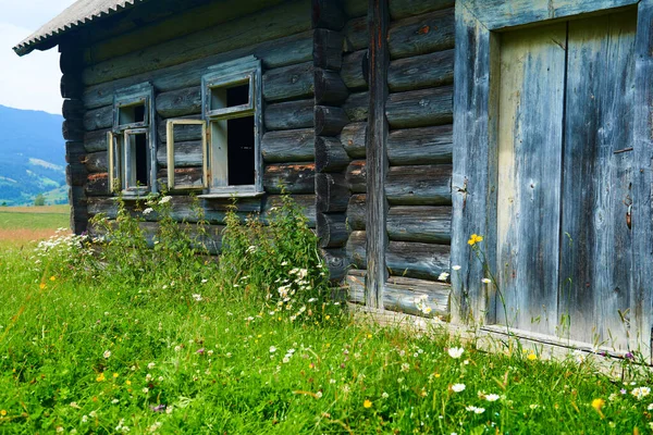 abandoned wooden home in countryside, nature, summer landscape in carpathian mountains, wildflowers and meadow, spruces on hills
