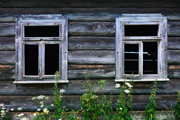 田舎の木造住宅 カルパチア山脈の夏の風景 野の花や牧草地 丘の上のトウヒ — ストック写真