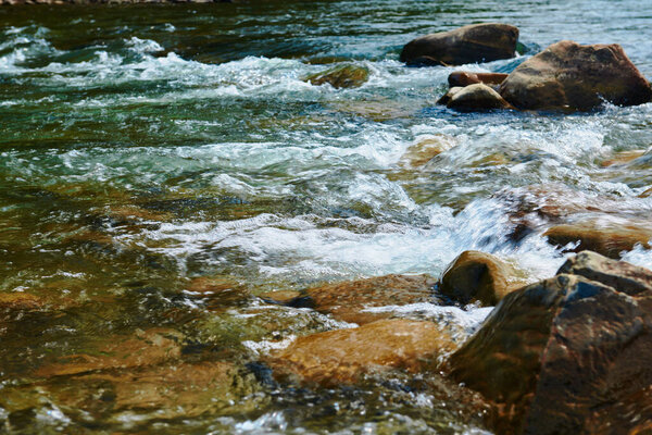 landscape, beautiful view of mountain river in summer day, fast flowing water and rocks, wild nature