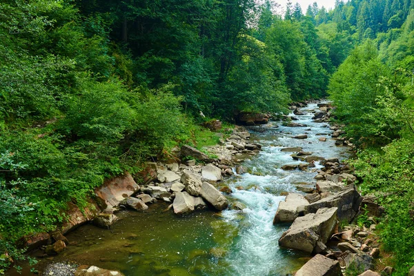 Krajina Krásný Výhled Horskou Řeku Letním Dni Rychle Tekoucí Voda — Stock fotografie