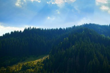 Doğa, güzel bulutlu gökyüzü, Karpat dağlarındaki yaz manzarası, kır çiçekleri ve çayırlar, tepelerdeki yaylalar