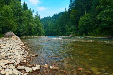 Manzara, yaz günündeki dağ nehri manzarası, hızlı akan su ve kayalar, vahşi doğa.