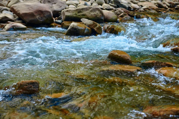 Paisaje Hermosa Vista Del Río Montaña Día Verano Agua Que — Foto de Stock