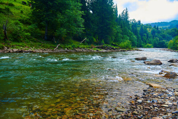 landscape, beautiful view of mountain river in summer day, fast flowing water and rocks, wild nature