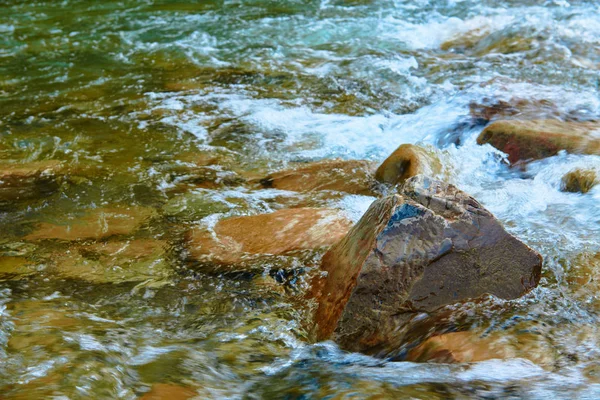 여름의 아름다운 빠르게 흐르는 야생의 — 스톡 사진