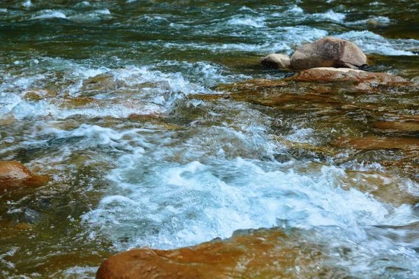 여름의 아름다운 빠르게 흐르는 야생의 — 스톡 사진