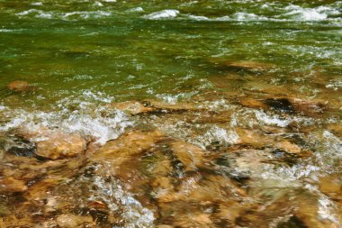 Manzara, yaz günündeki dağ nehri manzarası, hızlı akan su ve kayalar, vahşi doğa.