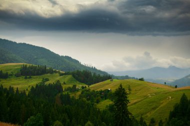 Karpat dağlarında karanlık fırtınalı gökyüzü, kır çiçekleri ve çayır, tepelerde yaylalar, güzel doğa, yaz manzarası