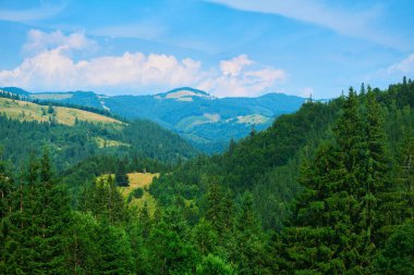 Vahşi doğa, Karpatlar 'daki yaz manzarası, kır çiçekleri ve çayırlar, tepelerdeki yaylalar, güzel bulutlu gökyüzü