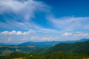 Vahşi doğa, Karpatlar 'daki yaz manzarası, kır çiçekleri ve çayırlar, tepelerdeki yaylalar, güzel bulutlu gökyüzü