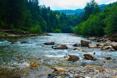 Manzara, yaz günündeki dağ nehri manzarası, hızlı akan su ve kayalar, vahşi doğa.