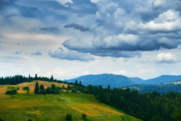 Natureza Céu Nublado Bonito Paisagem Verão Montanhas Carpathian Flores Silvestres — Fotografia de Stock