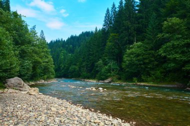 Manzara, yaz günündeki dağ nehri manzarası, hızlı akan su ve kayalar, vahşi doğa.
