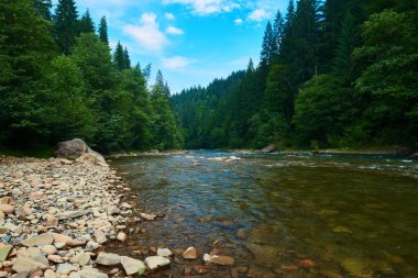 Manzara, yaz günündeki dağ nehri manzarası, hızlı akan su ve kayalar, vahşi doğa.