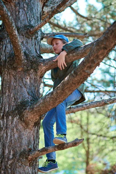 Dítě Dívka Lezení Stromě Jasné Sluneční Světlo Krásný Den — Stock fotografie
