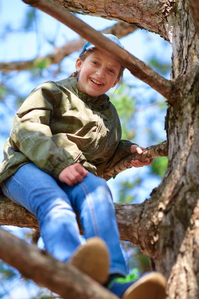 Menina Criança Escalando Uma Árvore Luz Solar Brilhante Belo Dia — Fotografia de Stock