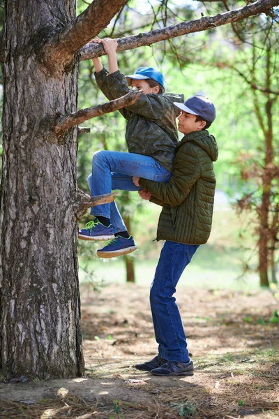 Niño Ayudando Una Niña Trepando Árbol Luz Del Sol Brillante —  Fotos de Stock