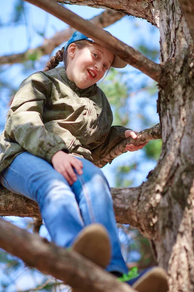 Dítě Dívka Lezení Stromě Jasné Sluneční Světlo Krásný Den — Stock fotografie