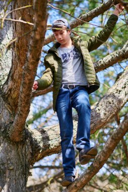 Küçük kız ağaca tırmanıyor, parlak güneş ışığı, güzel bir gün.