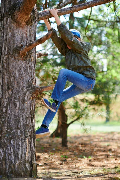 Menina Criança Escalando Uma Árvore Luz Solar Brilhante Belo Dia — Fotografia de Stock