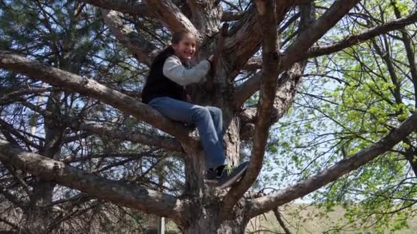 Dítě Dívka Lezení Stromě Jasné Sluneční Světlo Krásný Den — Stock video