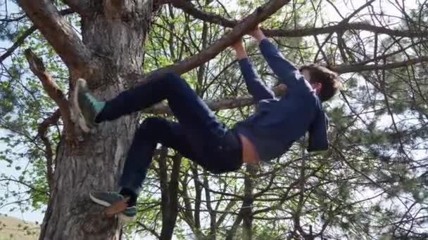 Teen Boy Climbing Tree Bright Sunlight Beautiful Day — Stock Video