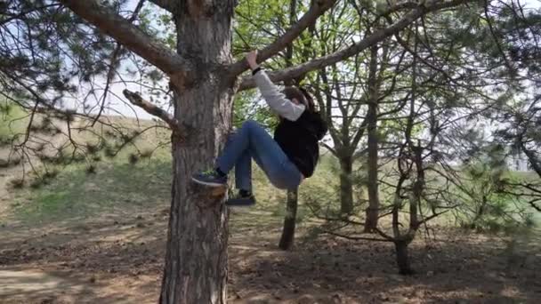 Enfant Fille Grimpant Dans Arbre Lumière Soleil Belle Journée — Video