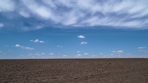 Timelapse Van Geploegd Veld Bodem Wolken Van Een Heldere Zonnige — Stockvideo