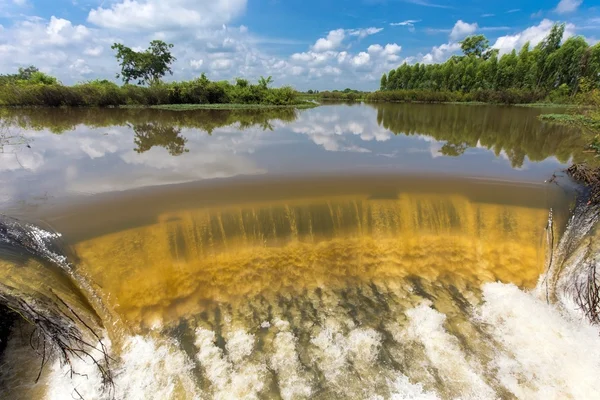 उष्णकटिबंधीय पावसाळ्यात नदी वाहते — स्टॉक फोटो, इमेज